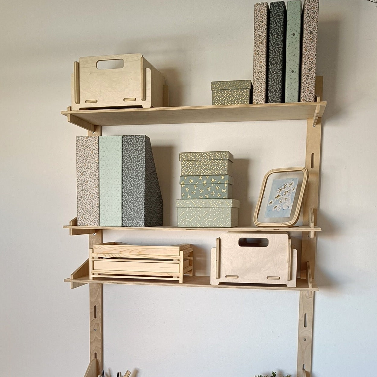 Molly bureau